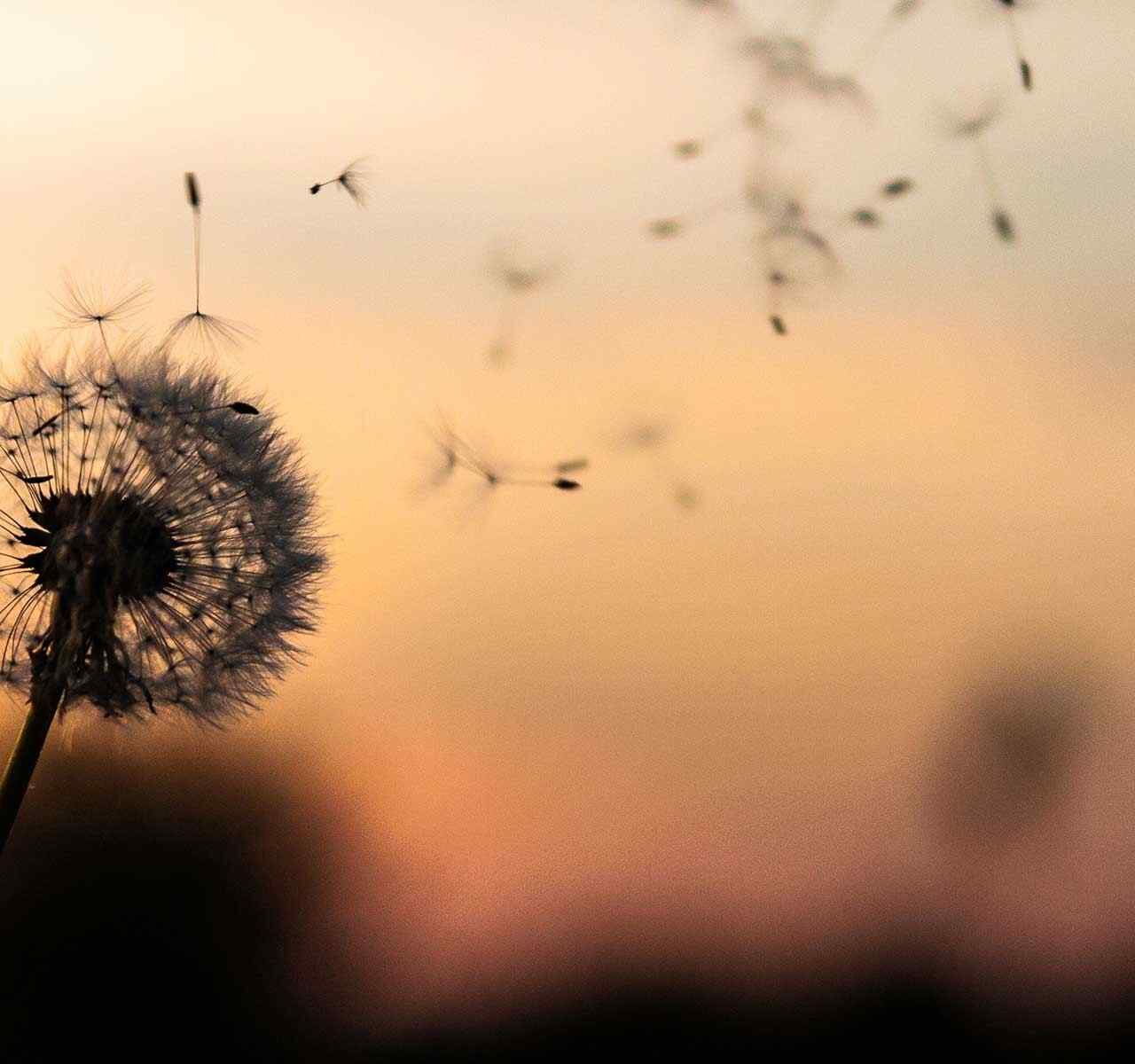 https://mahmutozguven.com/wp-content/uploads/2018/09/post_02-1280x1200.jpg